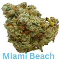 Miami Beach