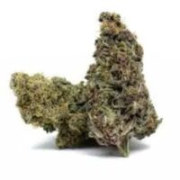 Cannabis bud